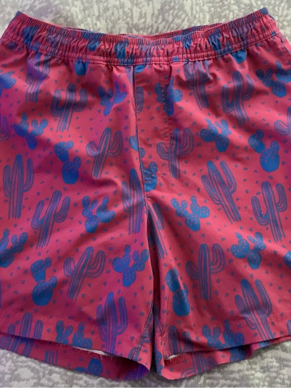Chubbies /// Men’s The Grand Mirage Stretch Swim Trunks - Size Small
